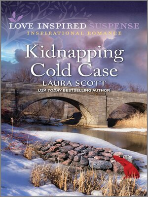 Kidnapping Cold Case - ebook